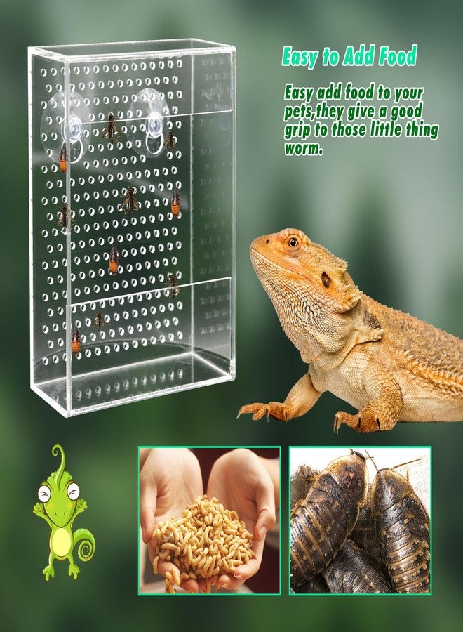 Neeenn Bearded Dragon Feeder, Chameleon Bug Bowl, Transparentk Acrylic Reptile Feeder Box, Wall-Mounted Insect Food Dish with Suction Cups, Tank and Aquarium Accessories for Lizard Bearded Dragon Gecko Frog - Image 3